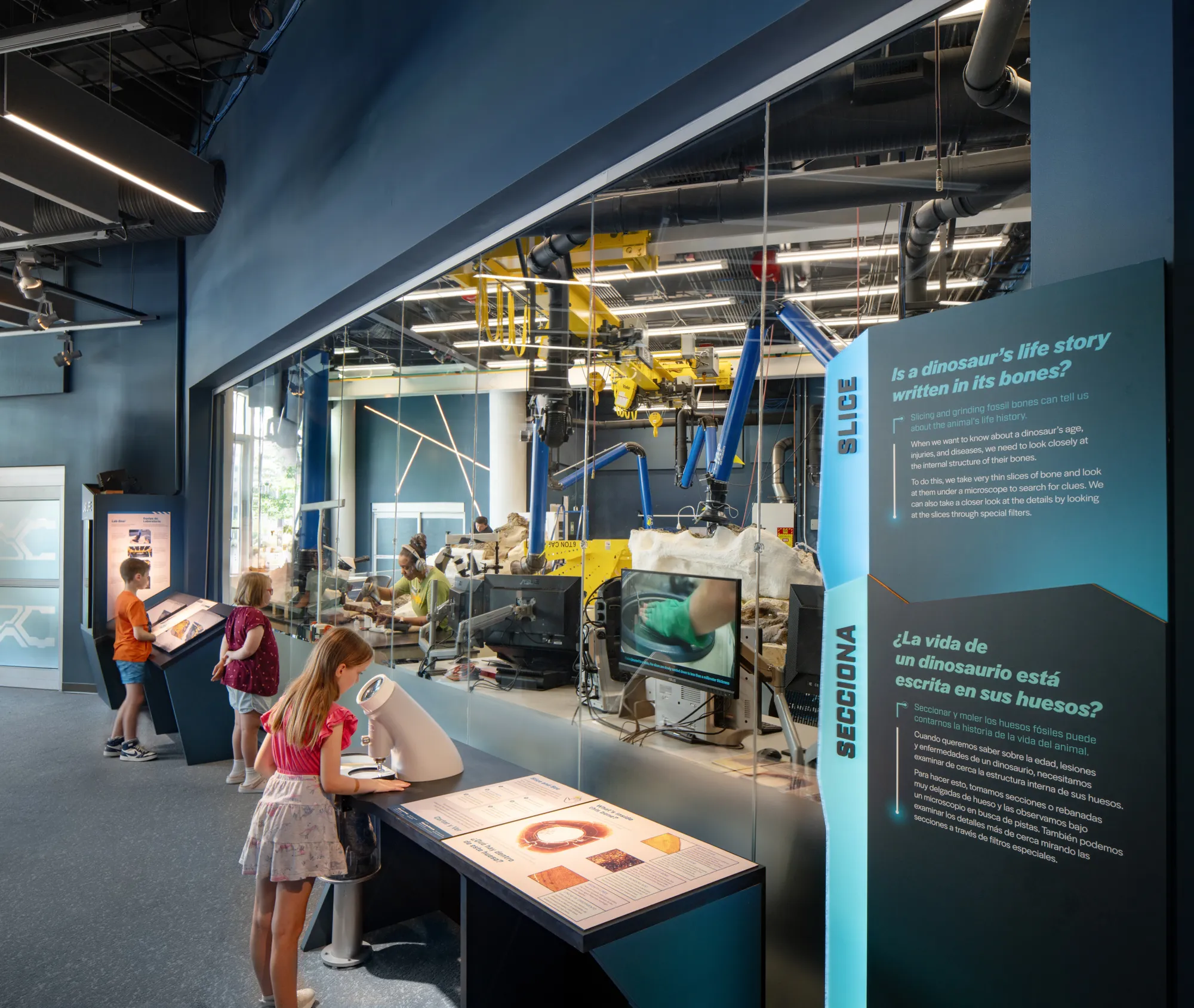 Children and museum guests look into the Dueling Dinosaurs Laboratory Exhibit at the North Carolina Museum of Natural Sciences